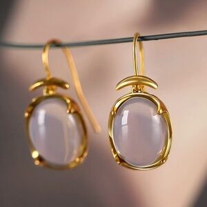 NWT Dangle Drop Earrings With Gray Oval Crystal Women’s Jewelry